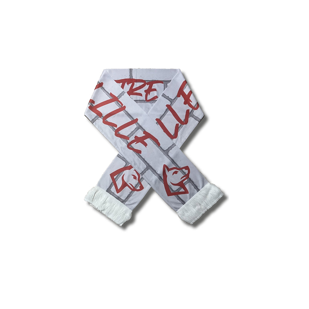 Echarpe "Allez Lille"